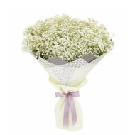 Белый пушок Белый пушок