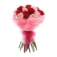 Бланка Бланка