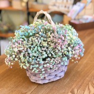 Разноцветное лукошко Разноцветное лукошко