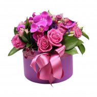 Элегантность Элегантность