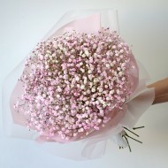 Нежность гипсофилы Нежность гипсофилы